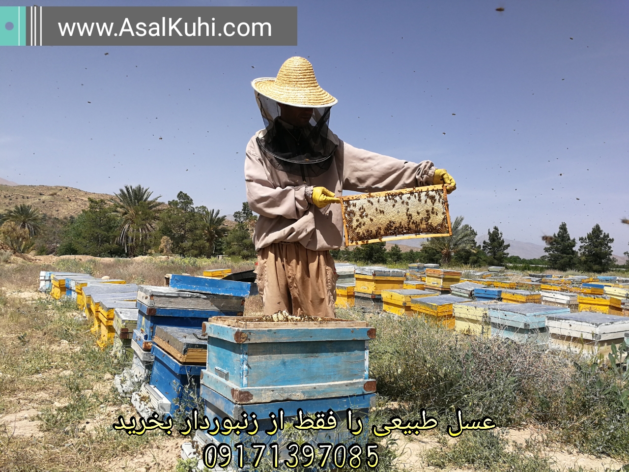 فروش عسل طبیعی 